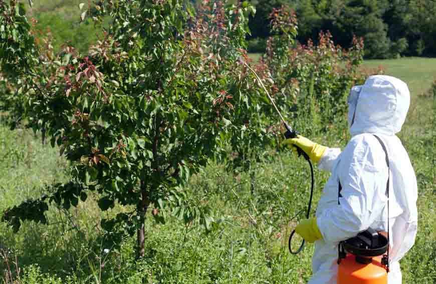 Trees of Botanical Pesticide Importance